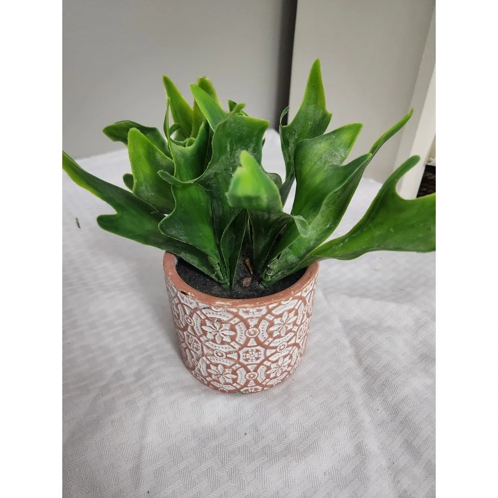 Artificial Staghorn Fern Faux Plant in Embossed Boho Ceramic Pot Green Terracott